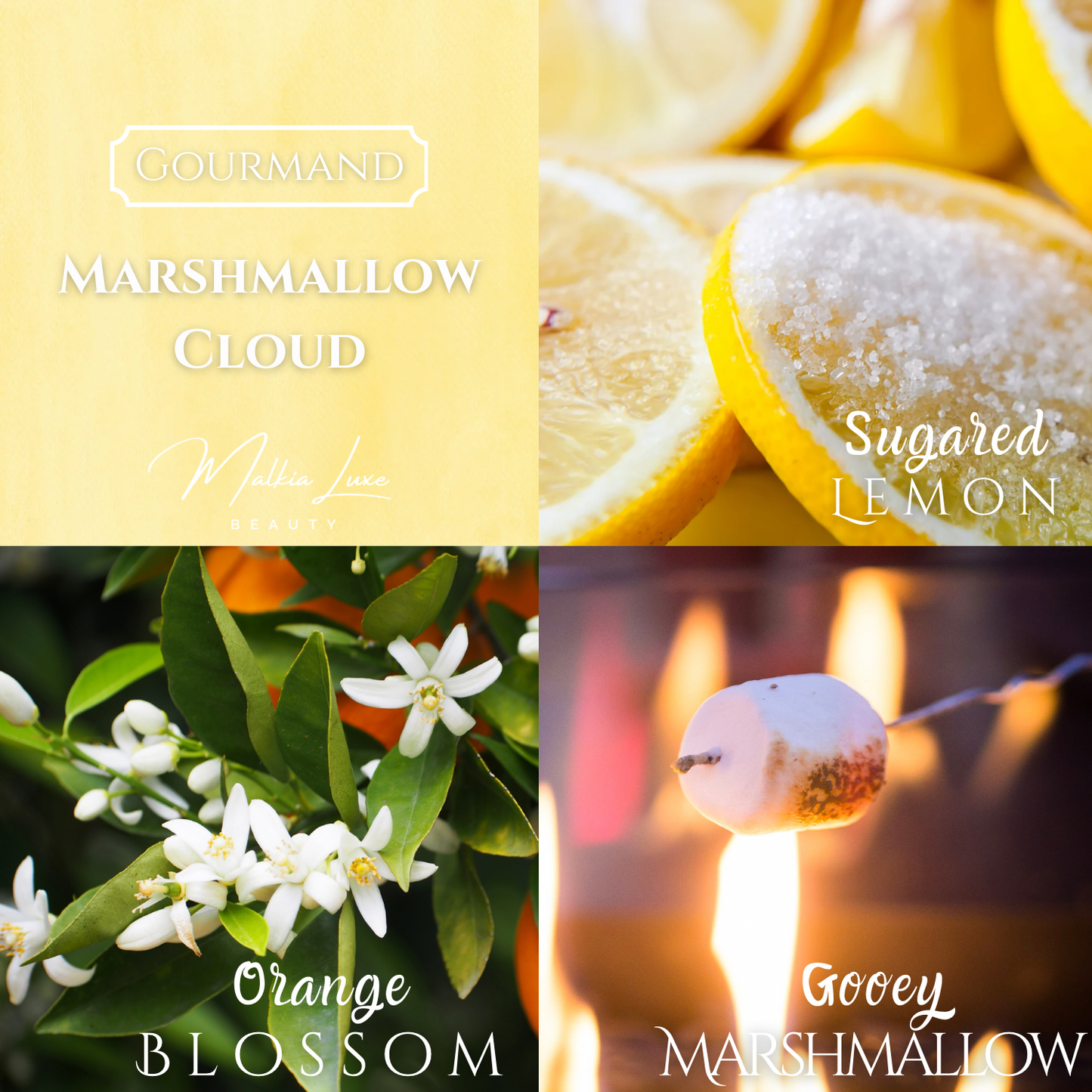 Marshmallow Cloud Body Butter | Ooey Gooey Collection
